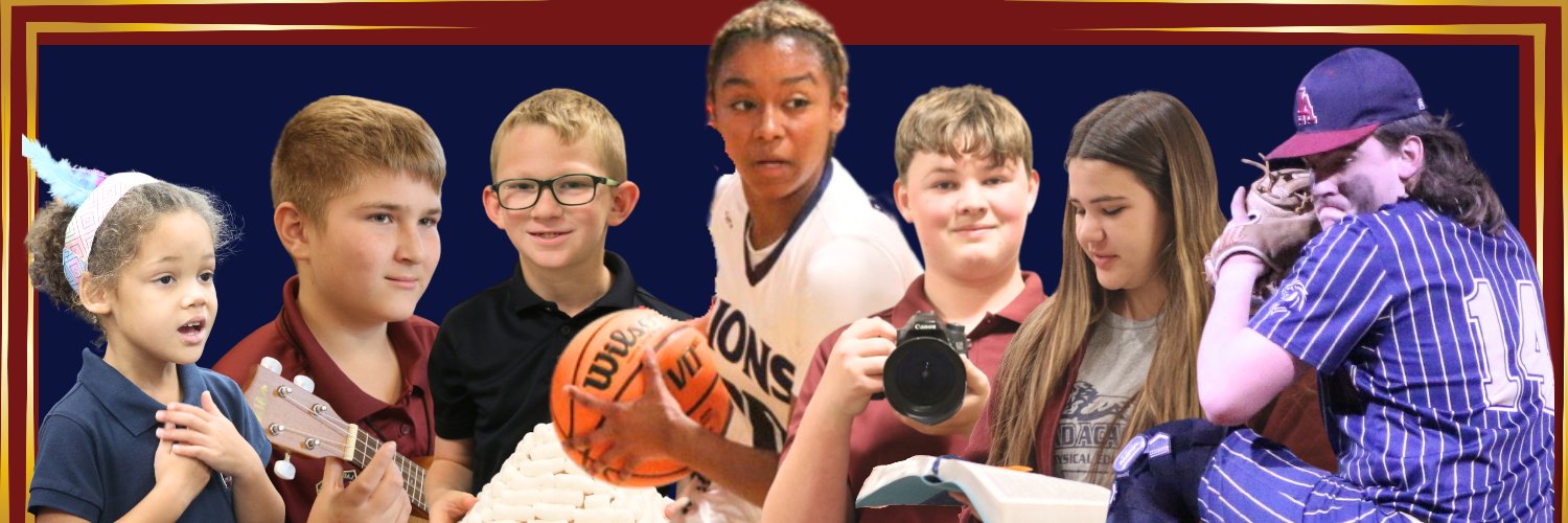 leadacademylion's profile banner image