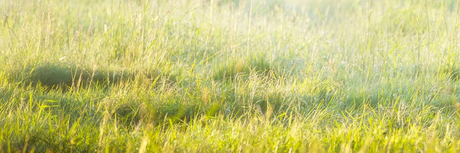 Morgane Sivara banner