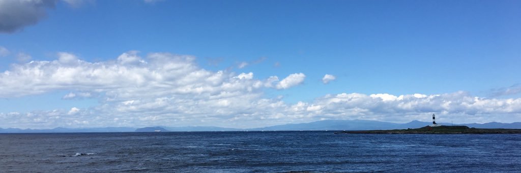 seaographer🌊 banner