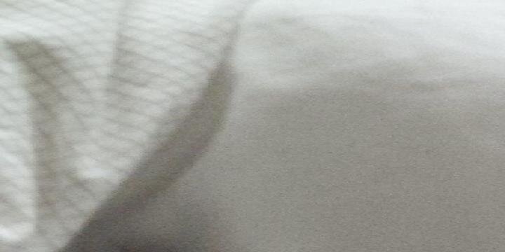 sammendelsohn's profile banner image