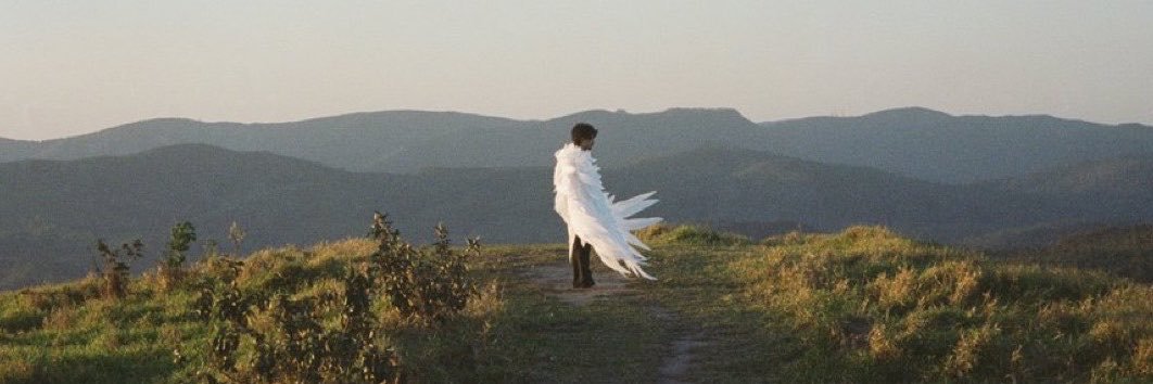 eubrunomeira's profile banner image