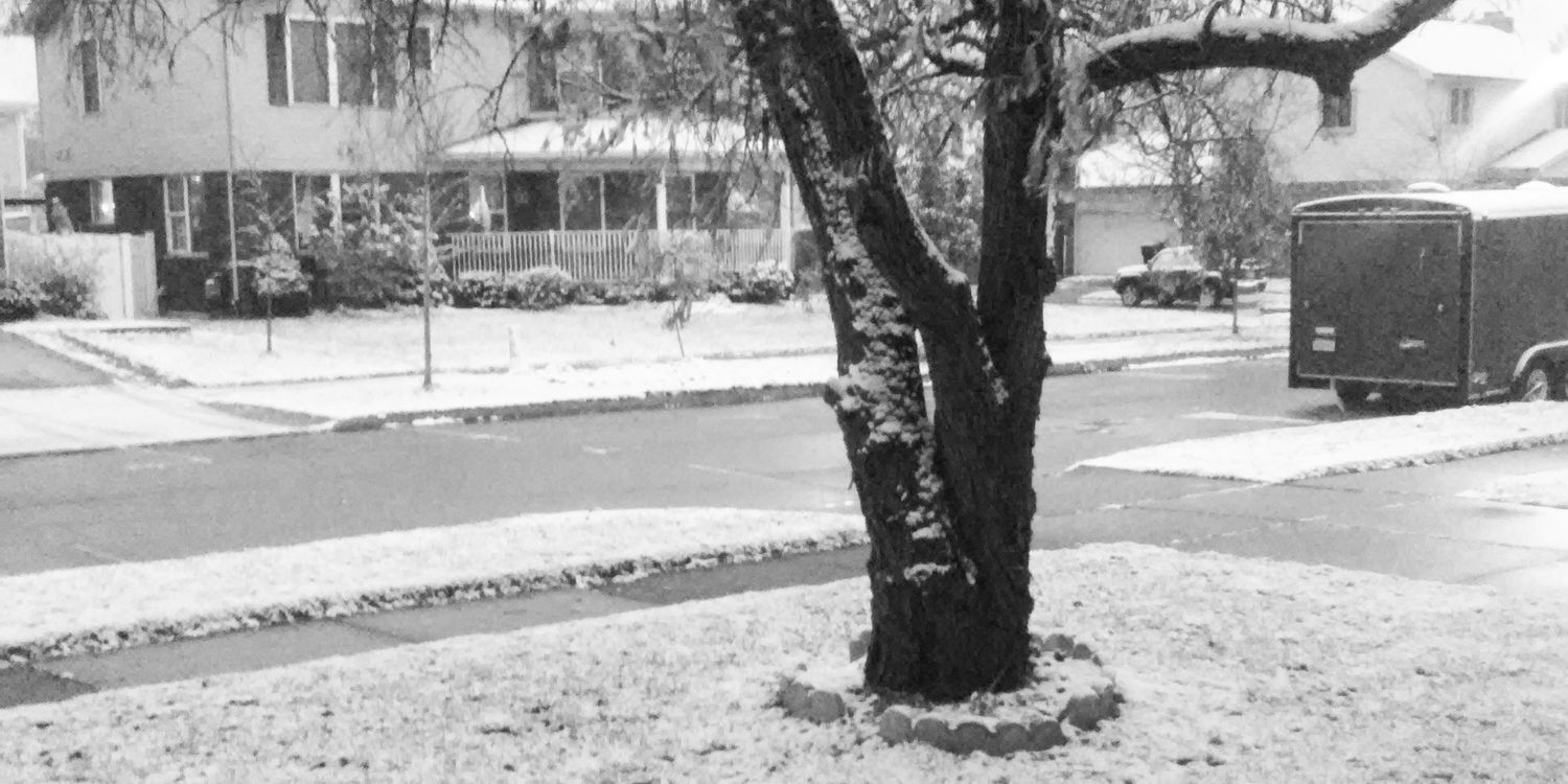 CherylSalinger's profile banner image