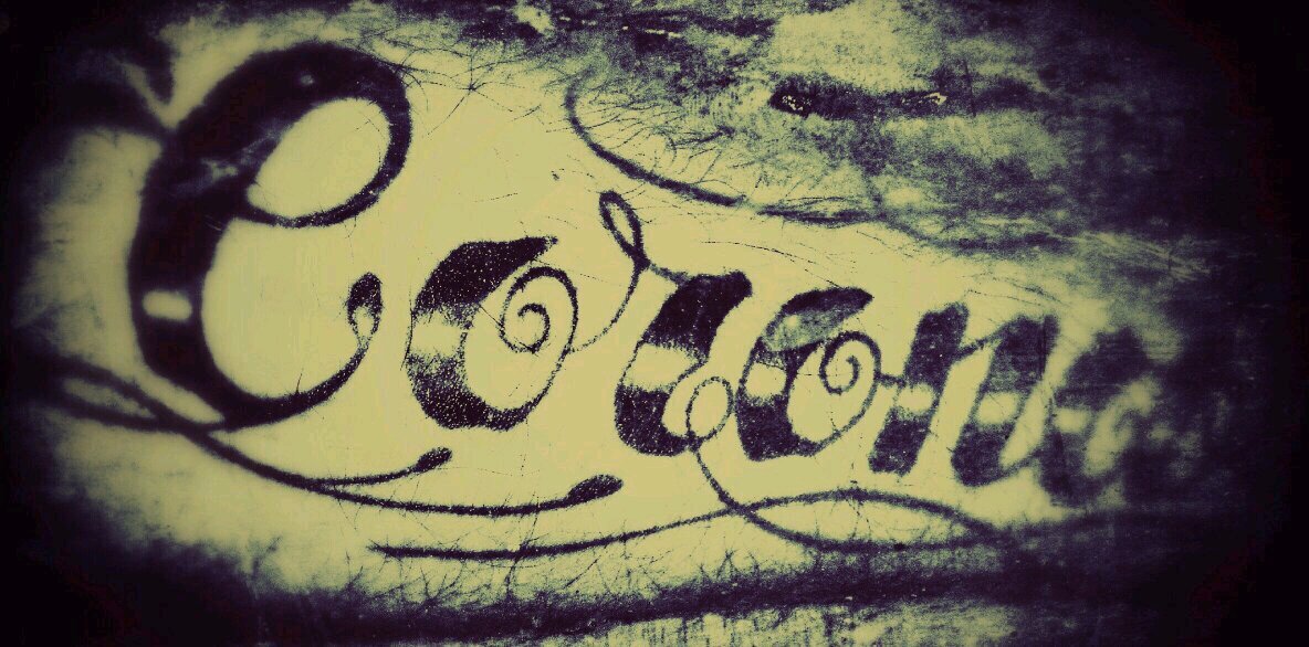 ccorona86's profile banner image