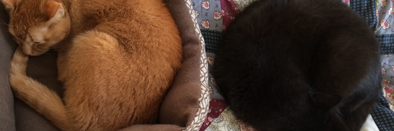 marys121's profile banner image