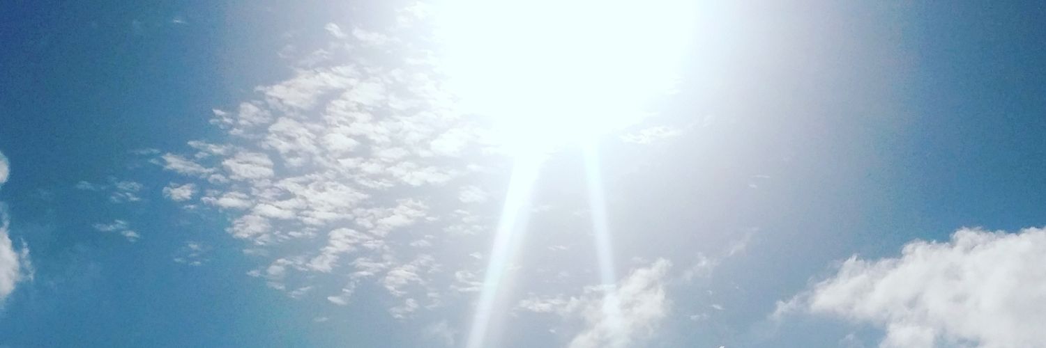 Bamboono's profile banner image