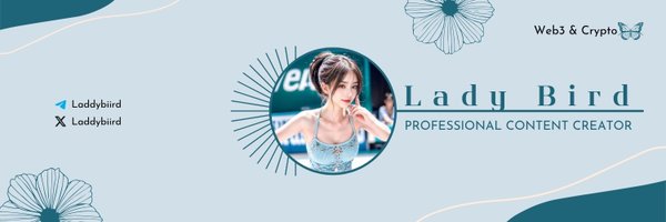 Laddybiird Profile Banner