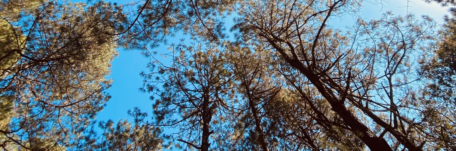 KatyMMartinez's profile banner image