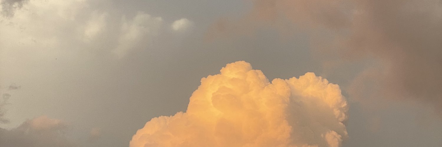 PuRangii's profile banner image