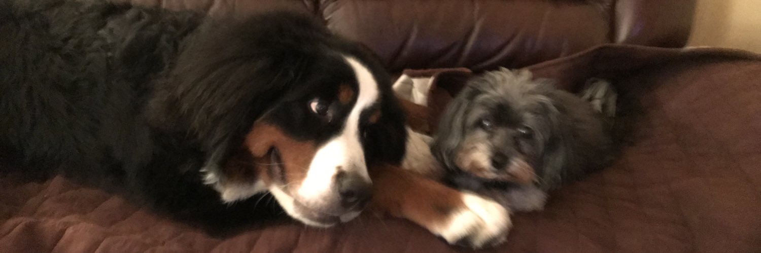 SusanMBliss's profile banner image