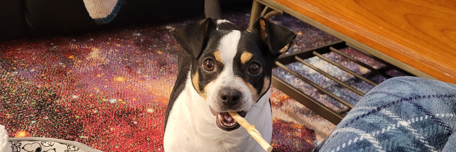 Helen Resists 🇺🇦 💗RBG💗 banner