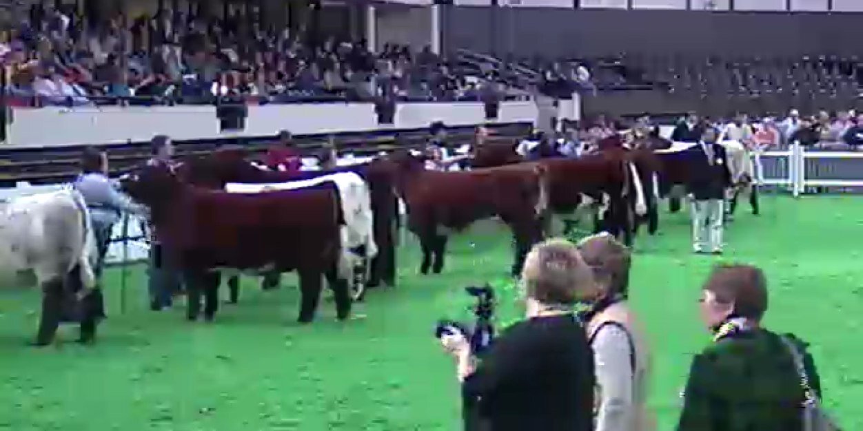 StockShowConfes's profile banner image
