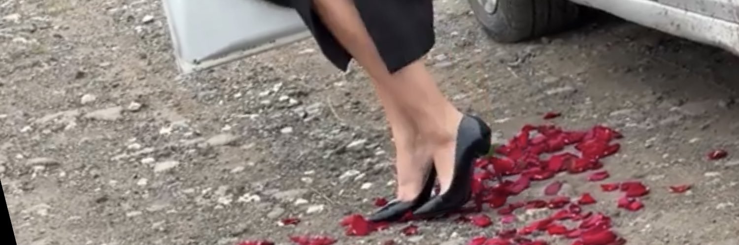 🌹Whyld M.🥀 banner