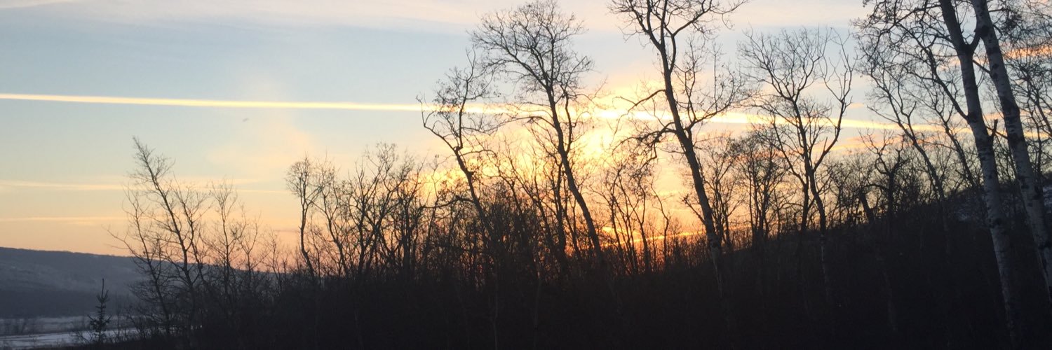 darki_15's profile banner image
