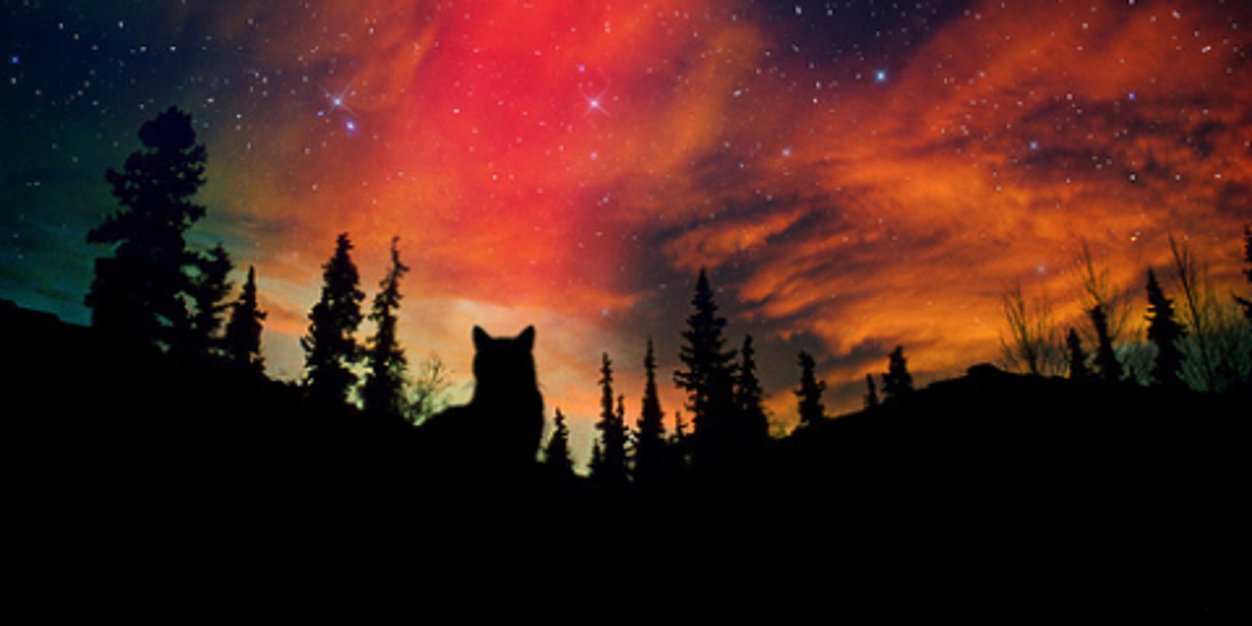 EvanthiaDml's profile banner image