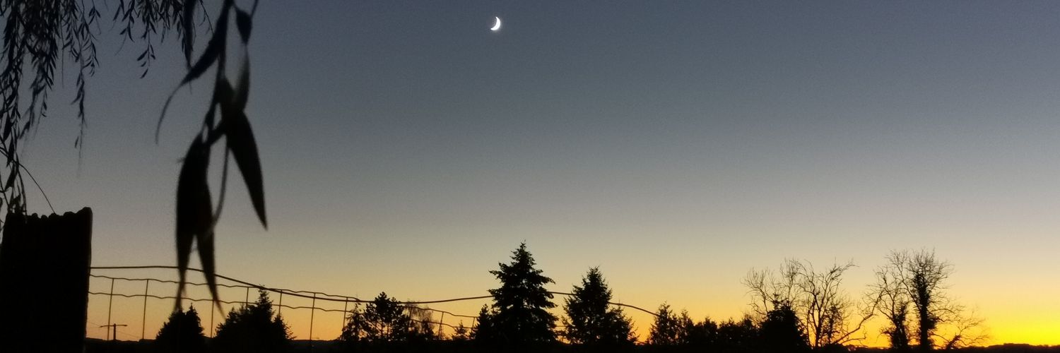 alicee_bln's profile banner image