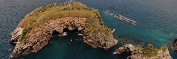 hamm_86 Profile Banner