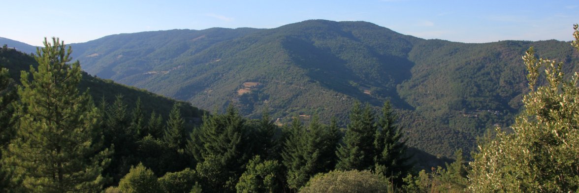 🏀🏃‍♀️ banner