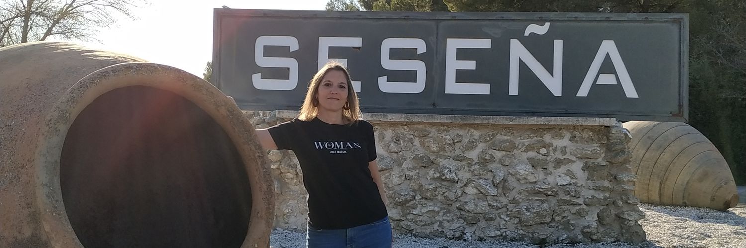 Vesov's profile banner image