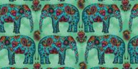 drwwma's profile banner image