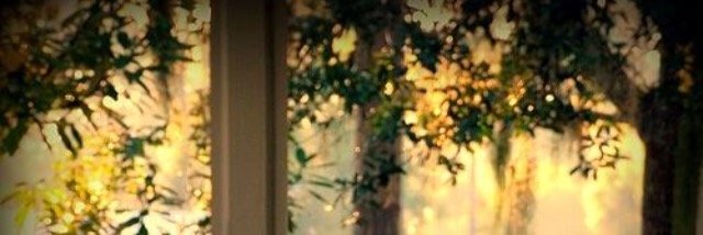 dooor1405's profile banner image