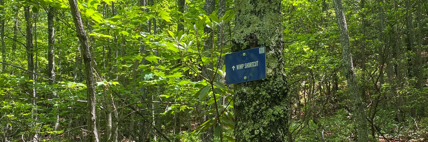 JamieTews's profile banner image
