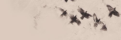 Lisa_Davidson's profile banner image