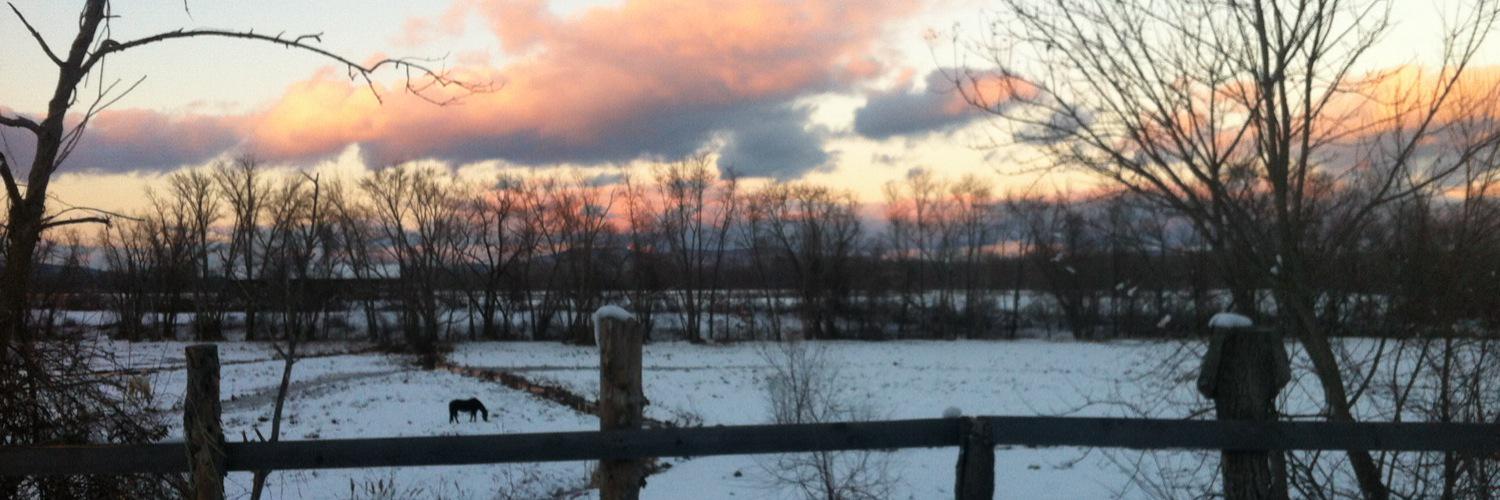 Dillon Duncan banner