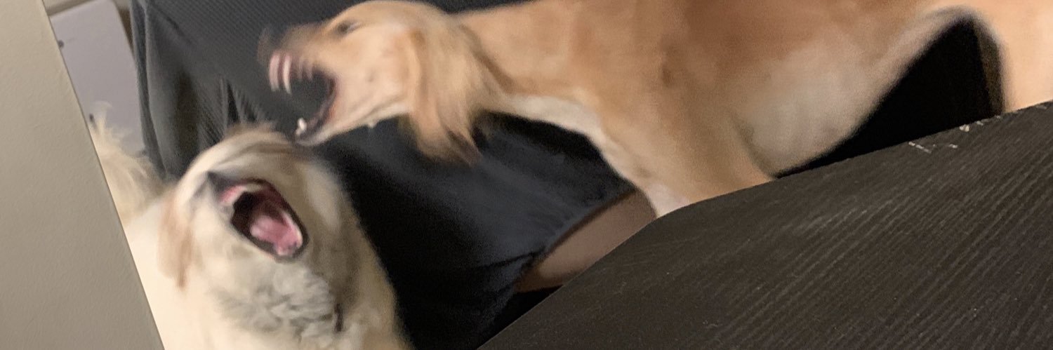 bfrodriguez_'s profile banner image