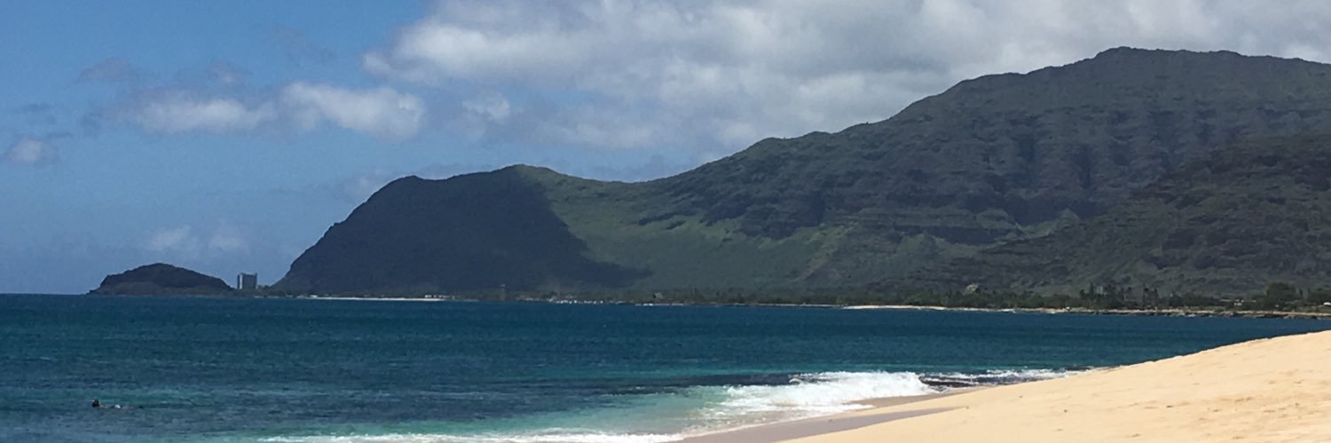 The Killer Whale banner