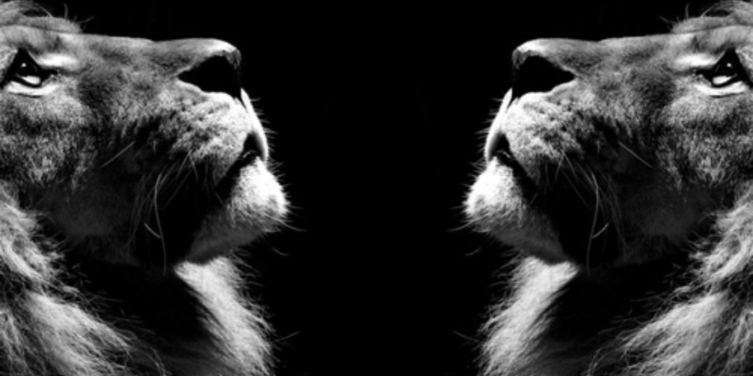 Trey2turnt's profile banner image