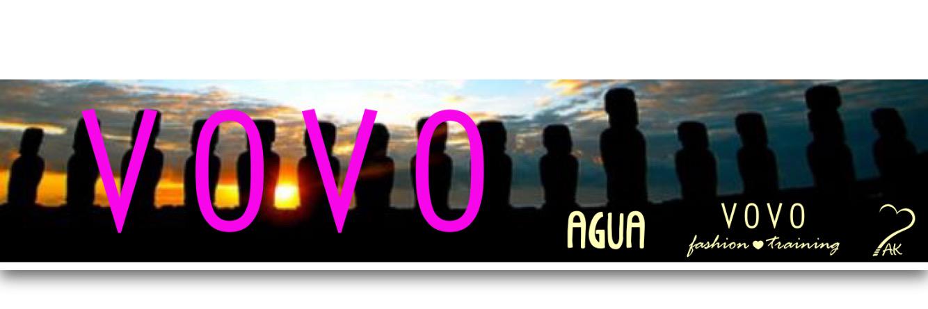 vovochile's profile banner image