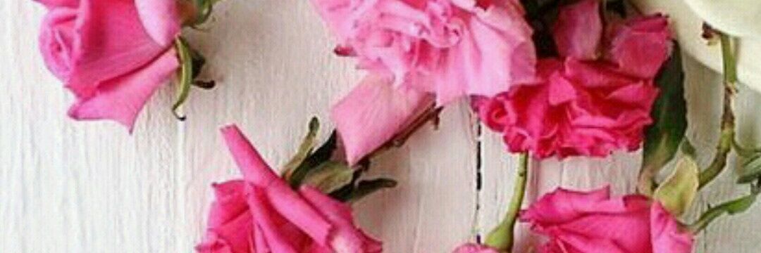 💕Hayat güzel💕 banner