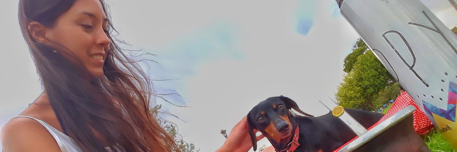 _RominaDuarte's profile banner image