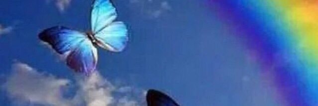 _6OoO's profile banner image