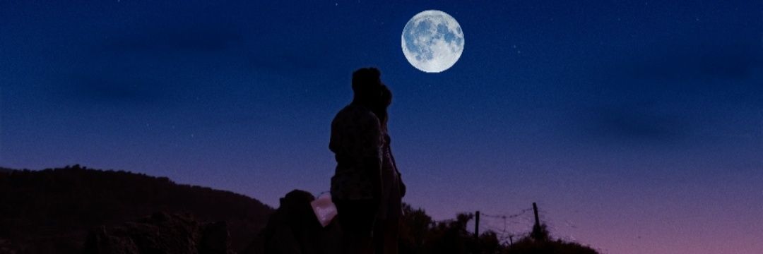 tugcetyg's profile banner image