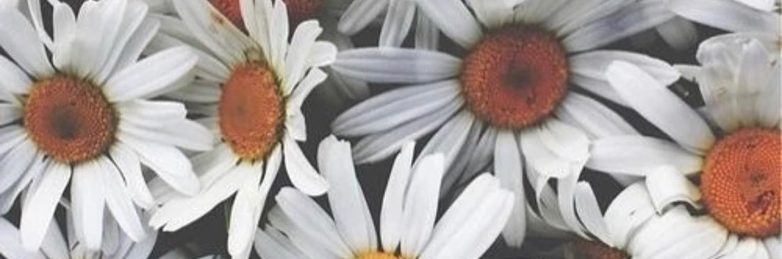 QwRiley's profile banner image