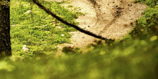 DavidDiazReina's profile banner image