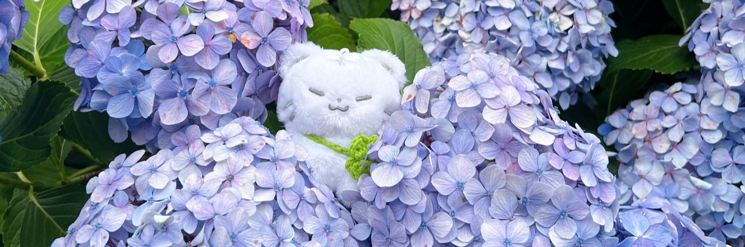 pyonpyon615's profile banner image