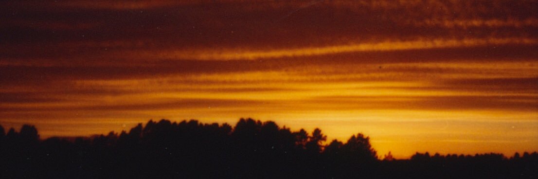 adelastenberg's profile banner image