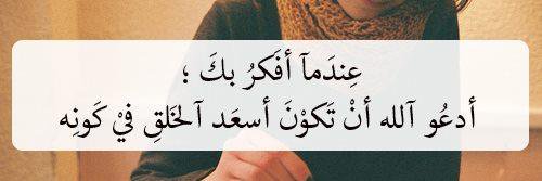 haniashour banner