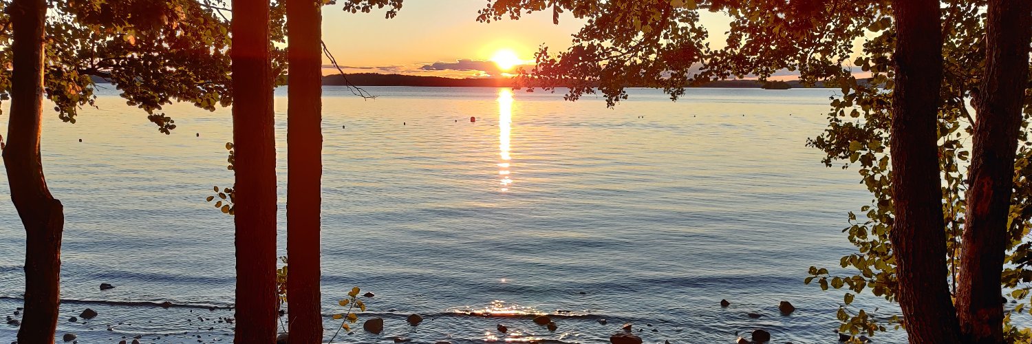 Anders Brunnström banner