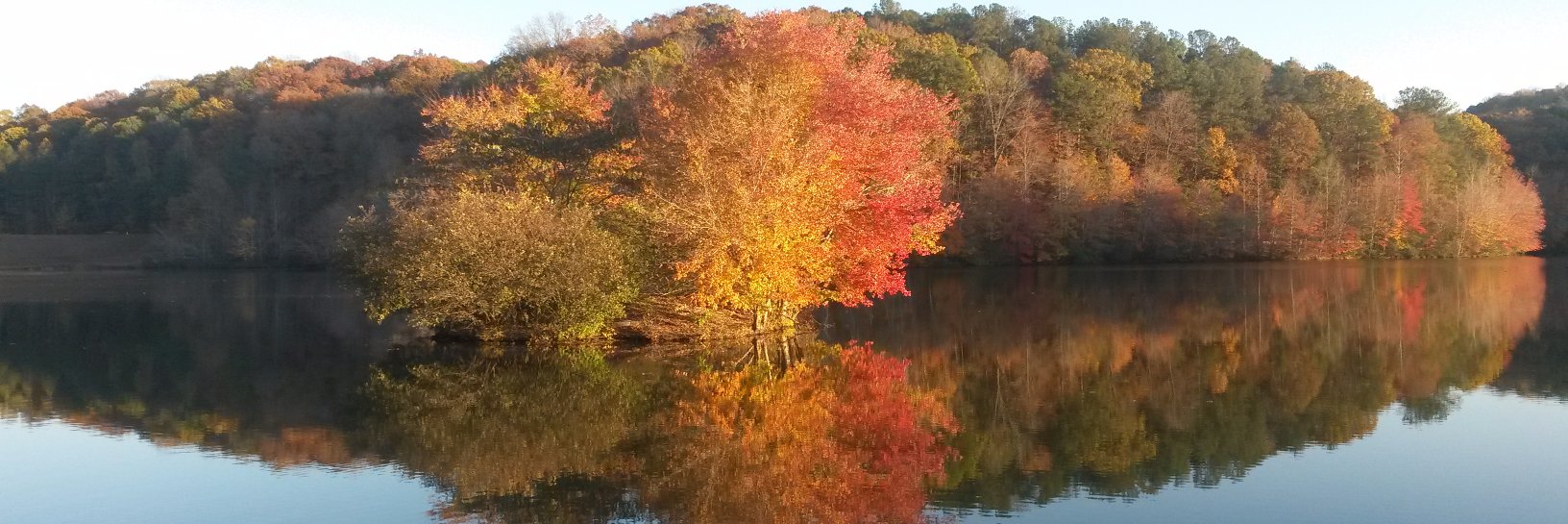 wordsconnect's profile banner image