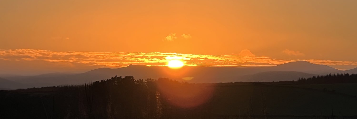lynnbruce1's profile banner image