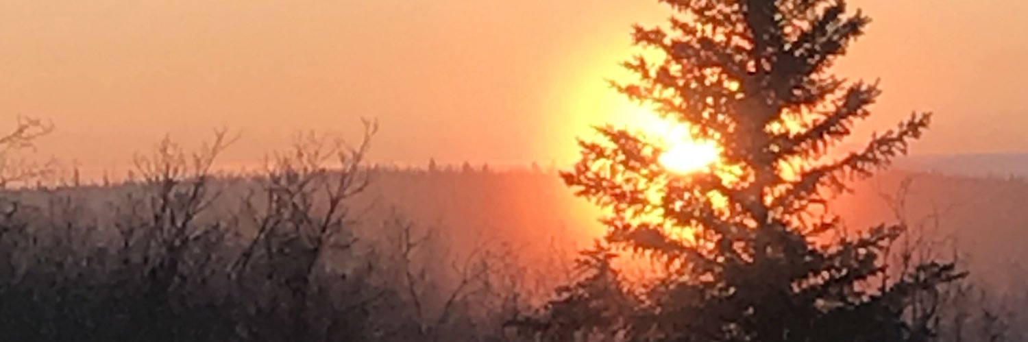 GreasyGrant's profile banner image