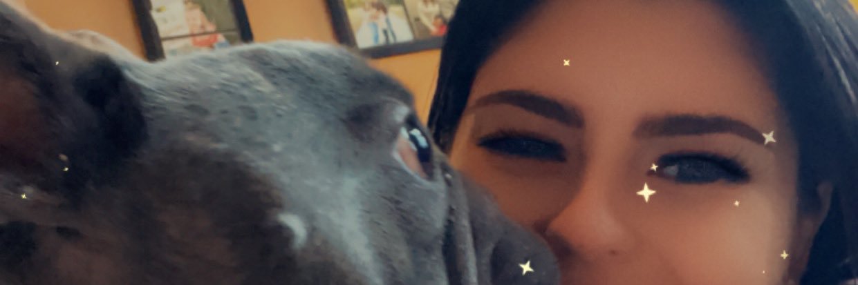 steffanie00018's profile banner image