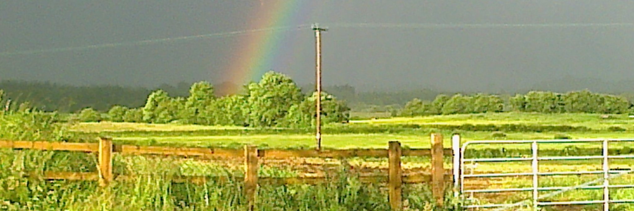 johnnynooney's profile banner image