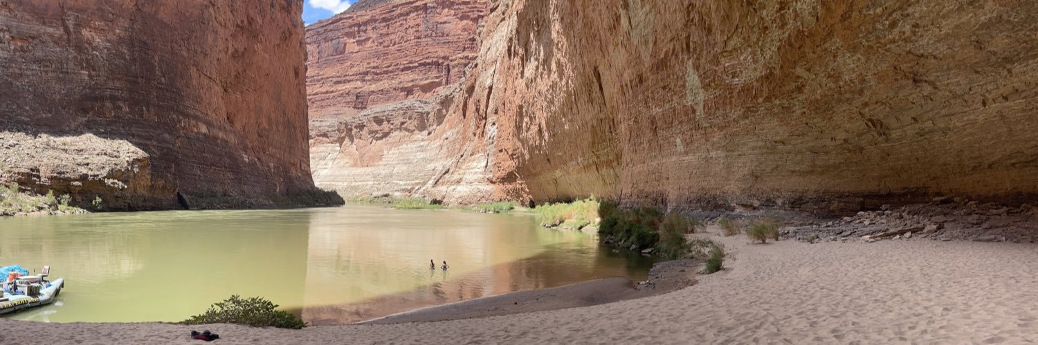 Shannon Sheedy banner