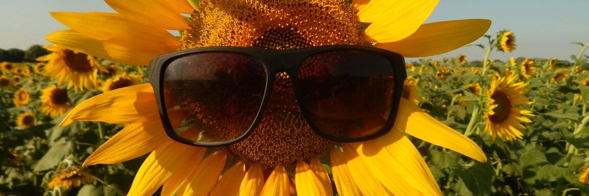 Maribitprieto's profile banner image