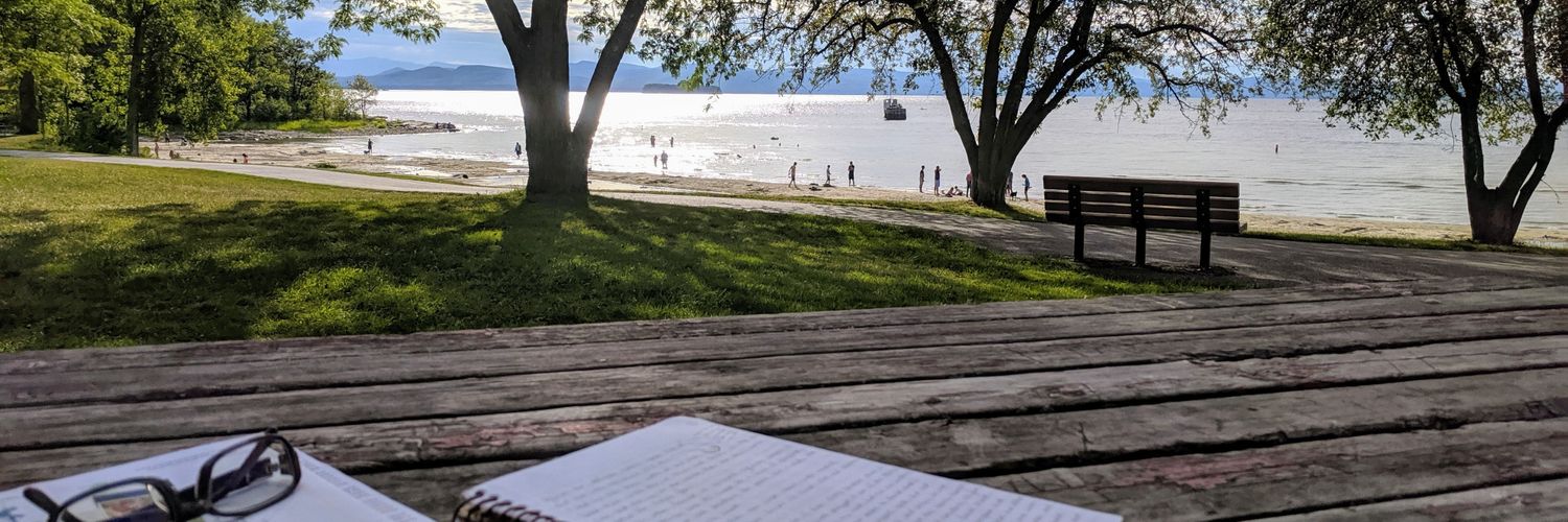 Seillean 🐝 banner