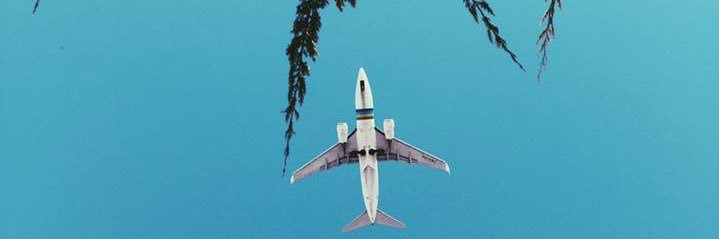 David Castillo banner